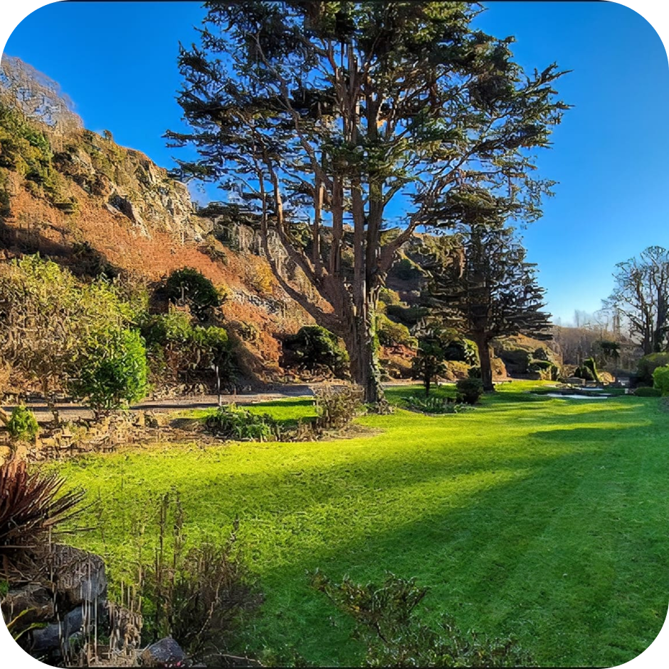 Green grass with trees and a hill on the left